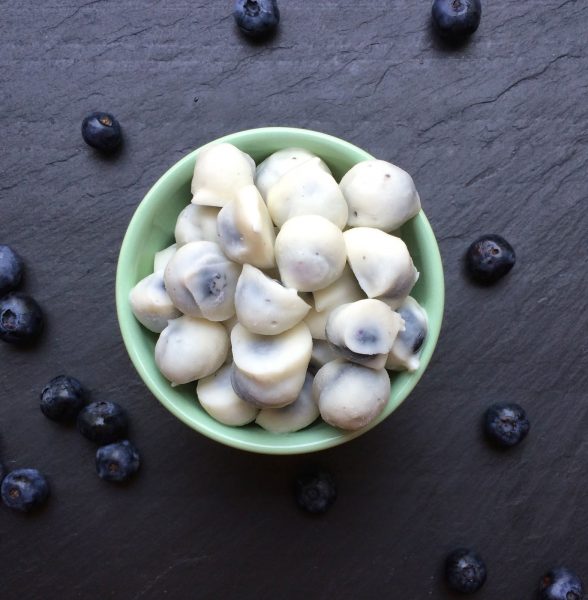 Blueberry Yogurt Protein Bars