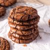 Gluten-Free Sourdough Brownie Cookies